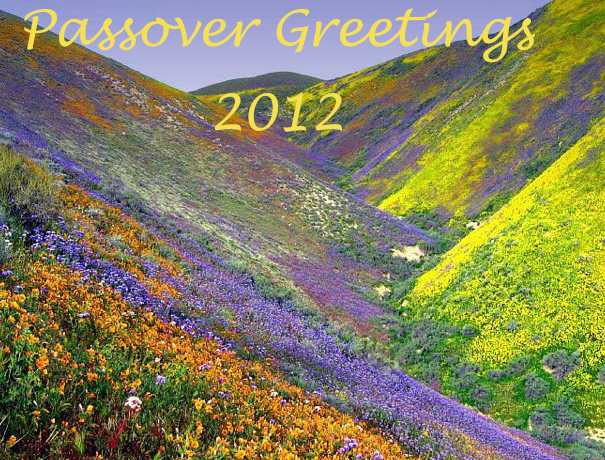 Passover 2012: Spring Holy Days