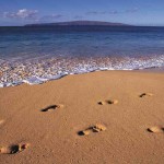 footprints in sand sm