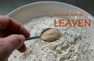 leaven2