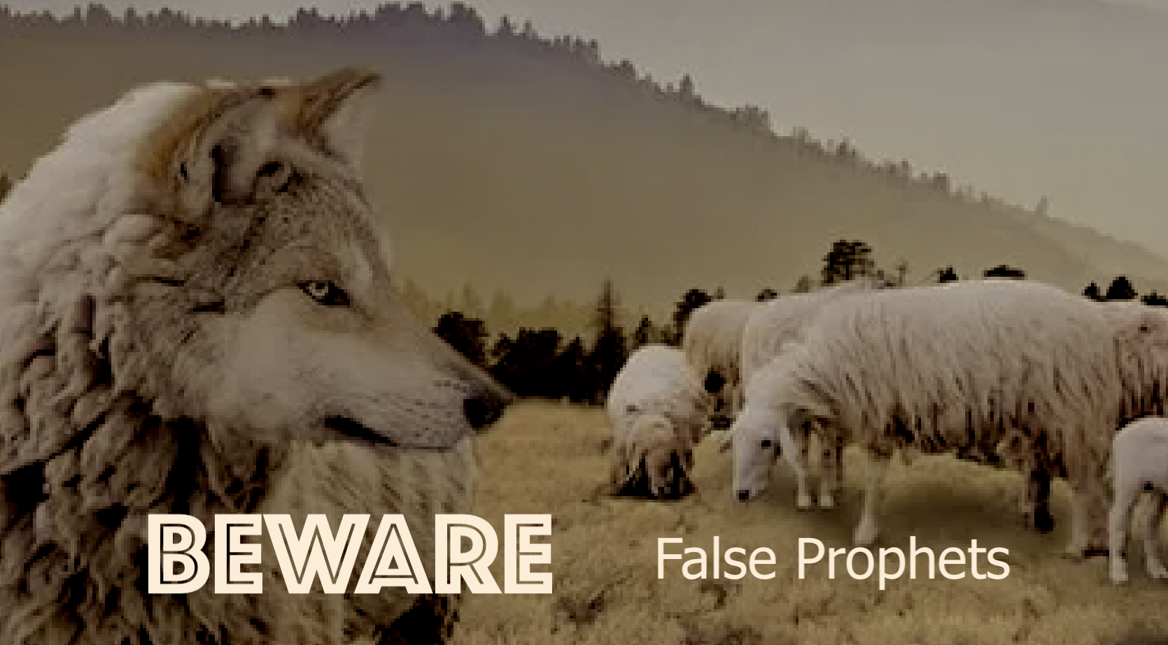 Beware of False Prophets