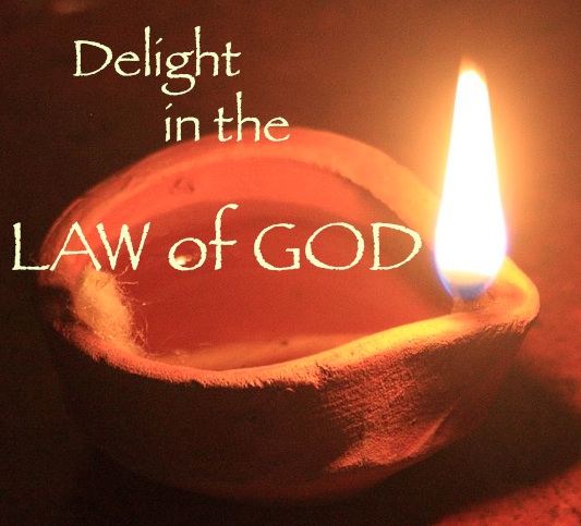 Delight in the Law of God