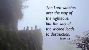 Psalm 1-6 the path of the righteous