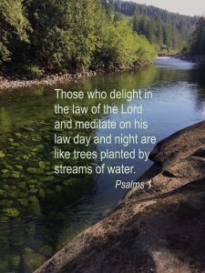 Psalm 1 tree by river