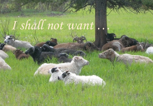 Lord Our Shepherd We shall not want