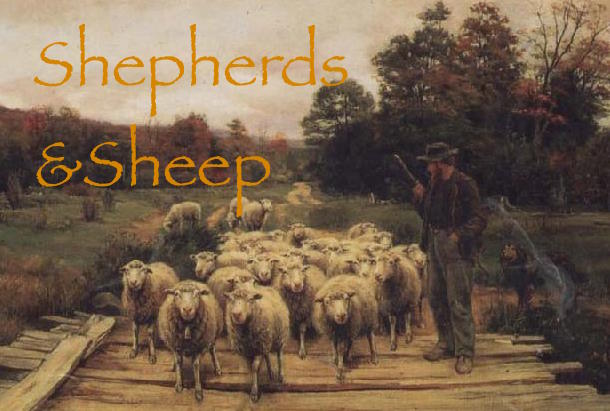 Of Shepherds and Sheep – Faithful Shepherds