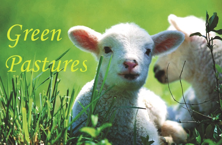 Lord Our Shepherd in Green Pastures