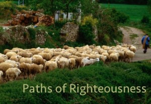 sheep paths of righteousness