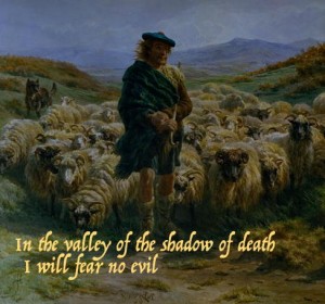 fear not, I am with you