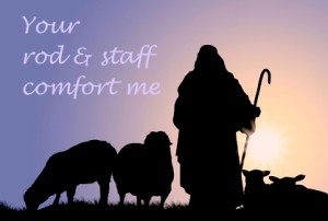 shepherd rod and staff