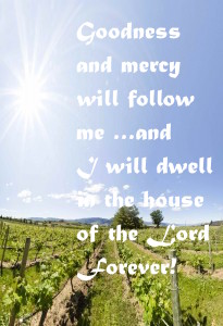 Goodness and Mercy will Follow Me