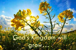 kingdom will grow2