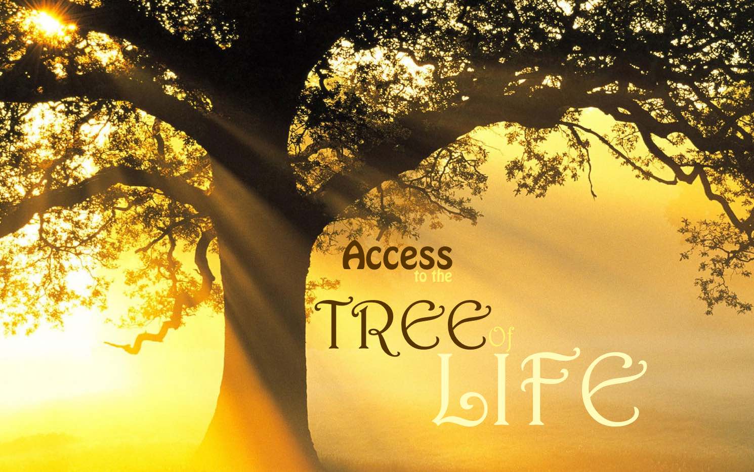 Access the Tree of Life