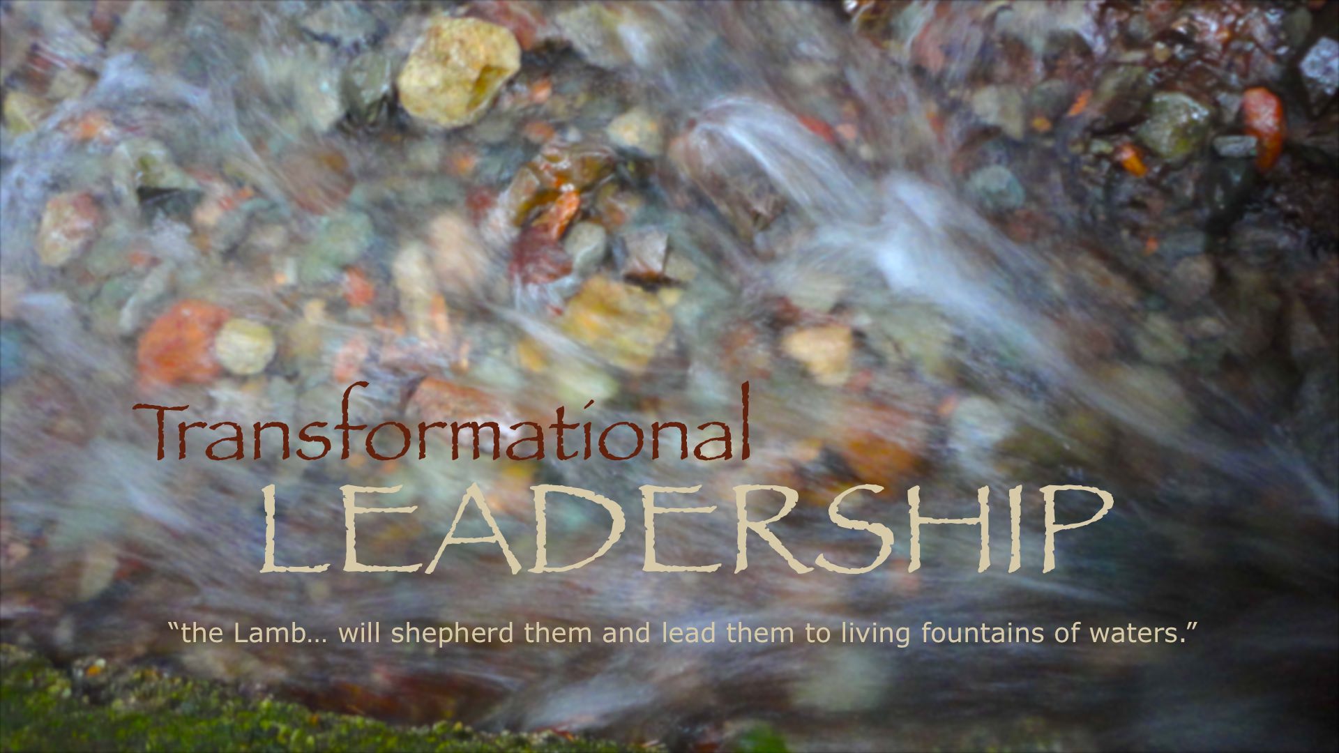 Transformational Leadership – What the World Needs Now