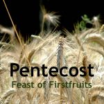 pentecost the law and the spirit