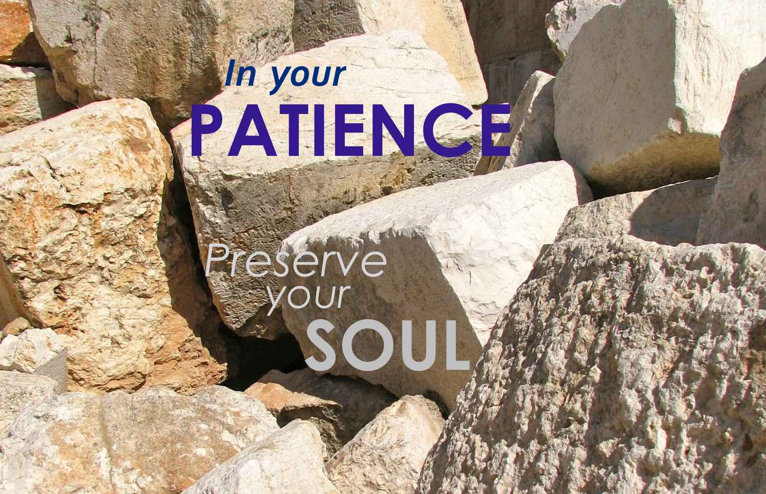 In Your Patience You Possess Your Souls