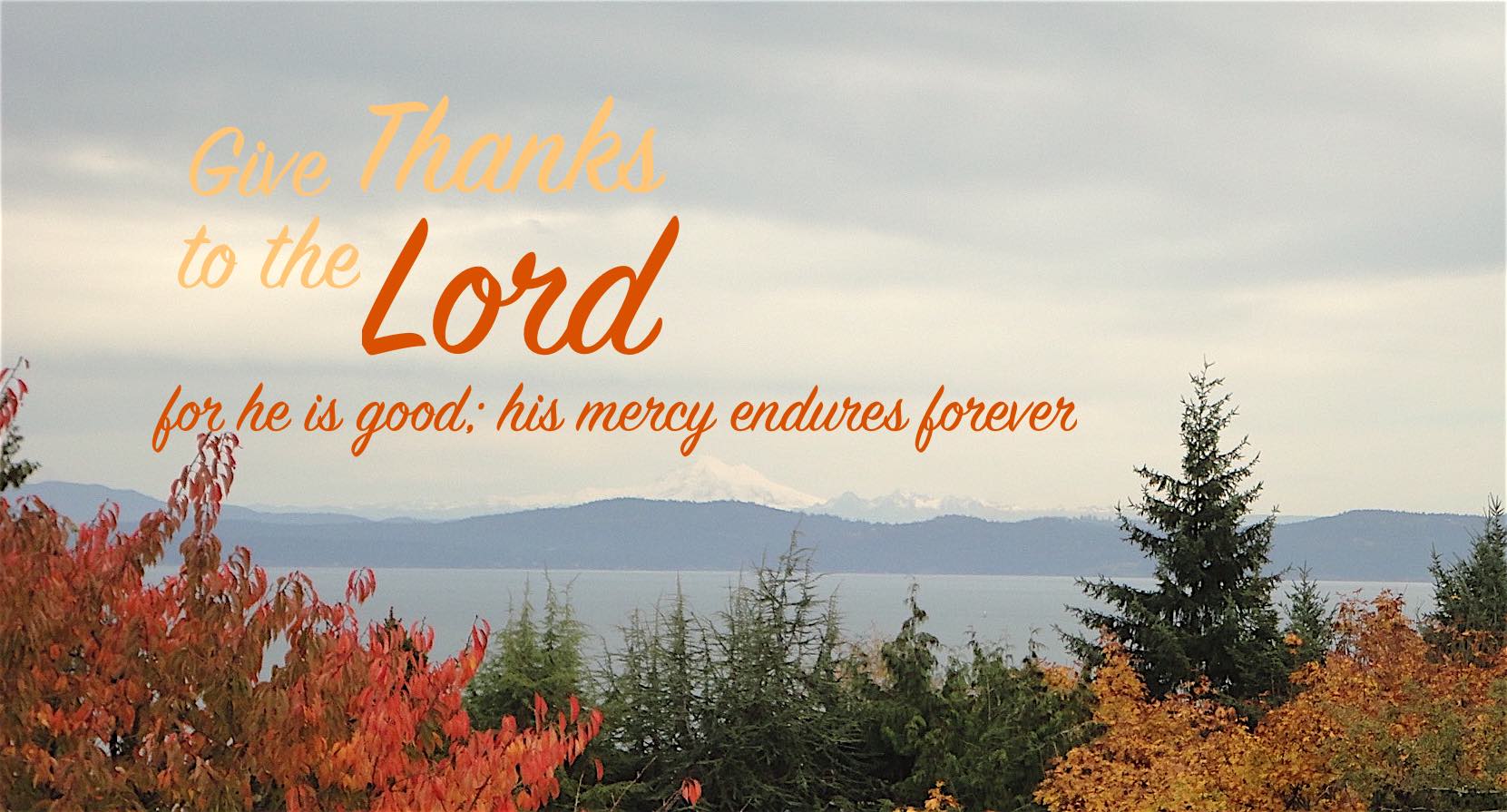 Thankfulness – More than Minding Our Manners