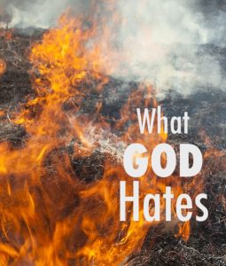 what God hates