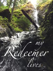 my redeemer lives