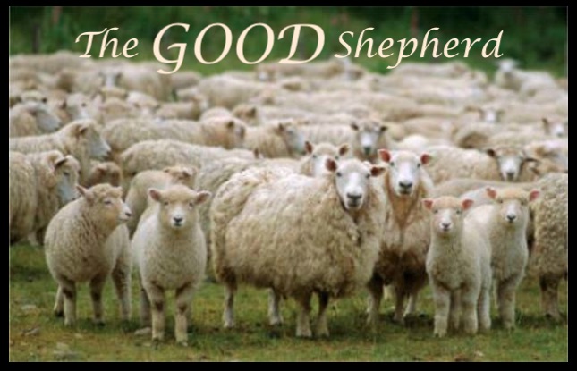 The Good Shepherd & the Question of Authority