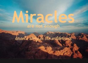 Israel's story in the wilderness