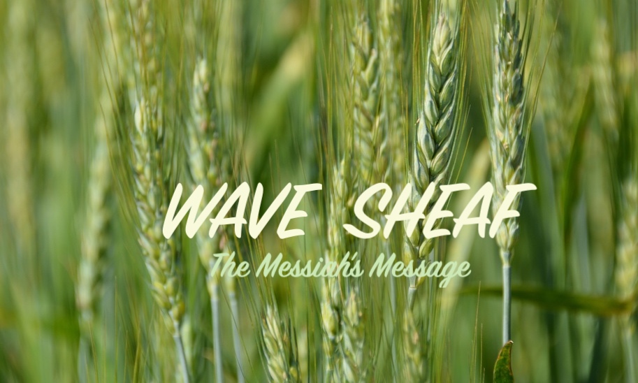 The Wave Sheaf – Symbol of our Messiah