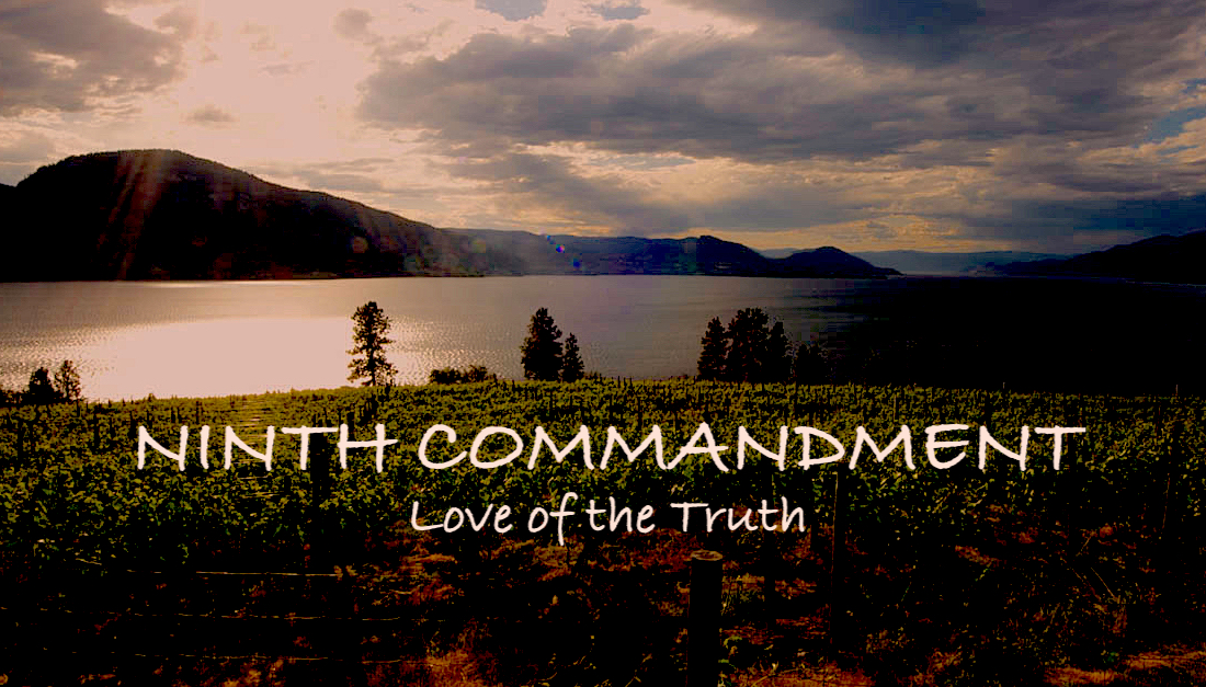 Ninth Commandment — Truth and Your Neighbour