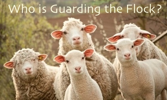 Who is Guarding the Flock? Are Your Leaders Leading?